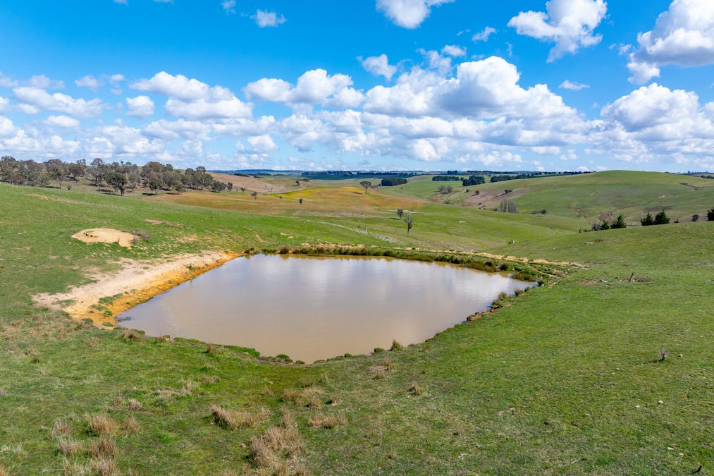 1185 Golspie Road, Golspie, NSW, 2580 - Image 20