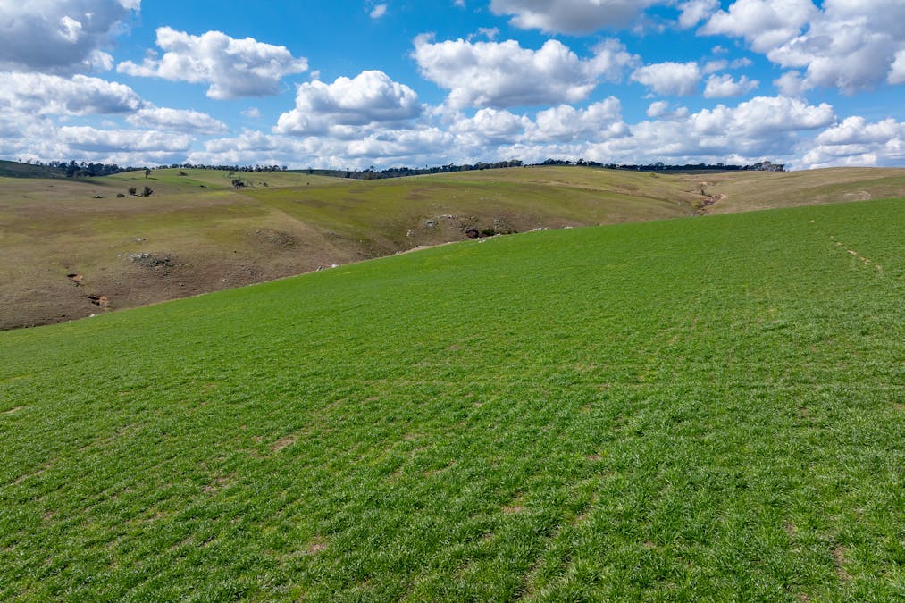 1185 Golspie Road, Golspie, NSW, 2580 - Image 23