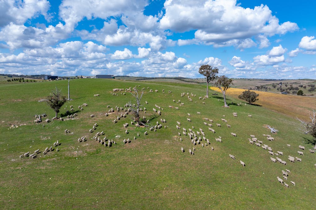 1185 Golspie Road, Golspie, NSW, 2580 - Image 25