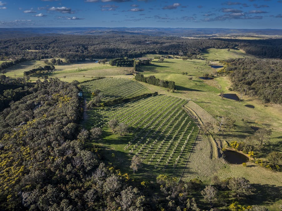 1506 Brayton Road, Big Hill, NSW, 2579 - Image 15
