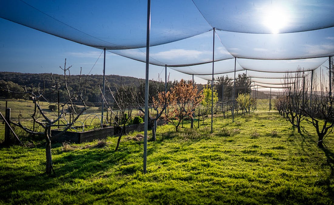 1506 Brayton Road, Big Hill, NSW, 2579 - Image 19