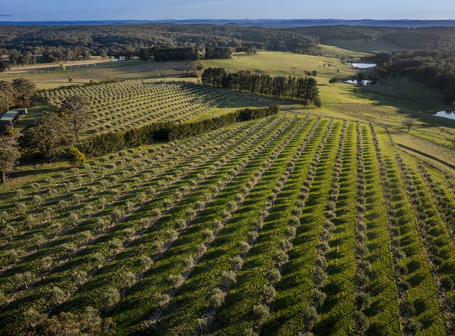 1506 Brayton Road, Big Hill, NSW, 2579 - Image 17