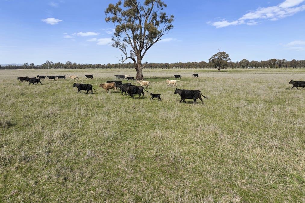 1677 ARCAD Arcadia Two Chain Road, Miepoll, VIC, 3666 - Image 8