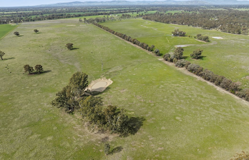 1677 ARCAD Arcadia Two Chain Road, Miepoll, VIC, 3666 - Image 11