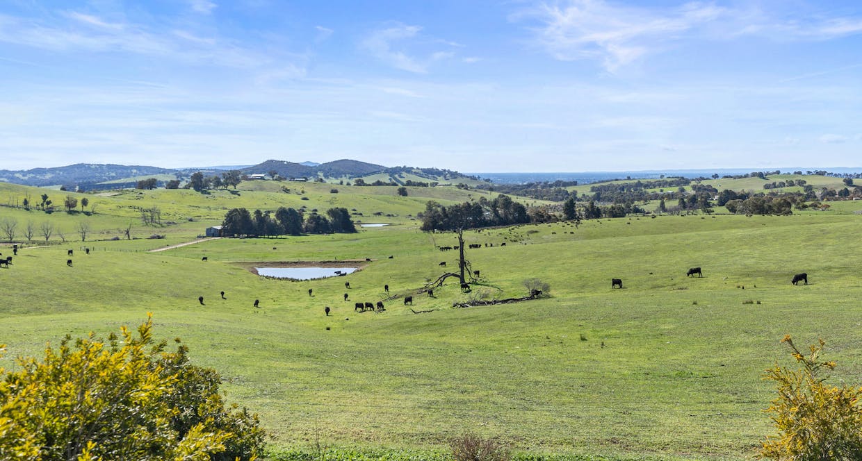912 Upper Lurg Road, Upper Lurg, VIC, 3673 - Image 20