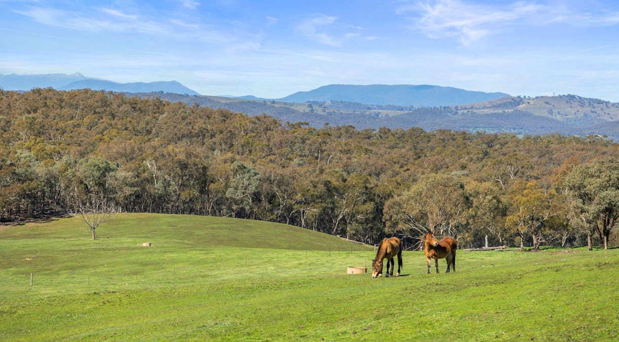 912 Upper Lurg Road, Upper Lurg, VIC, 3673 - Image 23