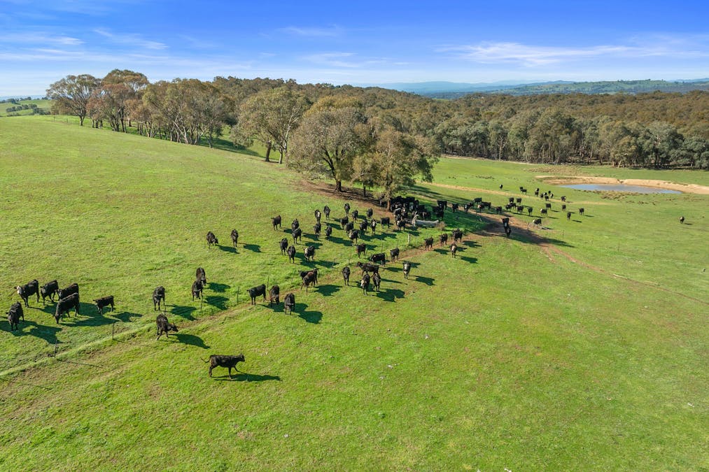 912 Upper Lurg Road, Upper Lurg, VIC, 3673 - Image 28