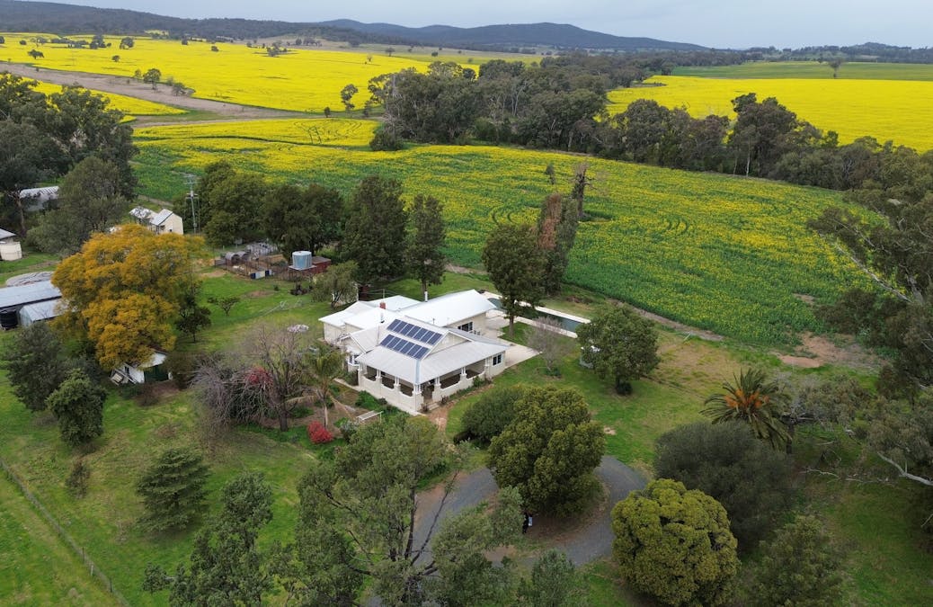 580 Mamre Road, Alectown, NSW, 2870 - Image 1
