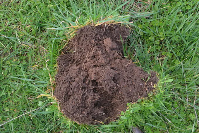 1805 Manga Road, Kalangadoo, SA, 5278 - Image 1