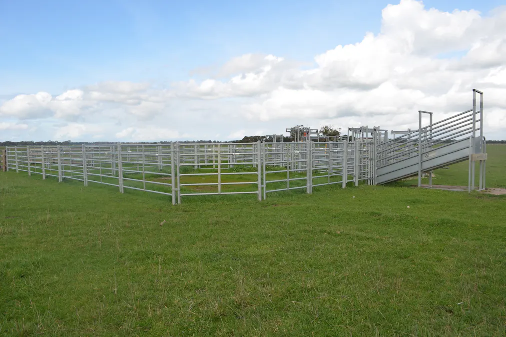 1805 Manga Road, Kalangadoo, SA, 5278 - Image 4