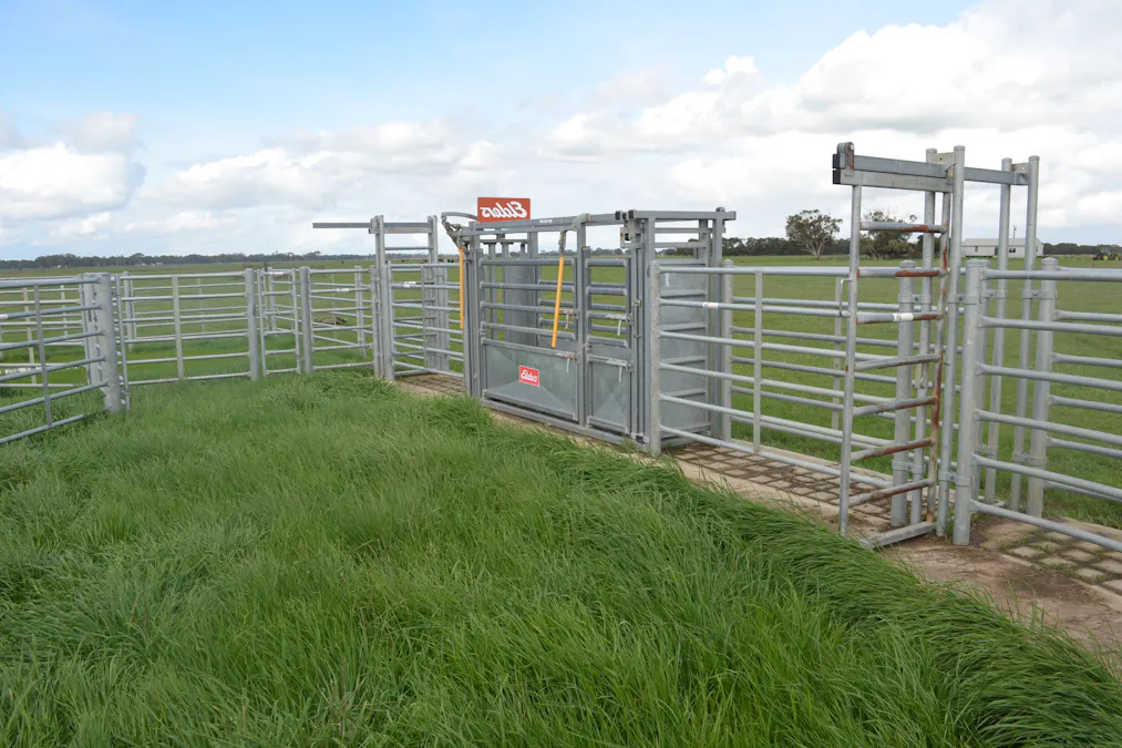 1805 Manga Road, Kalangadoo, SA, 5278 - Image 12