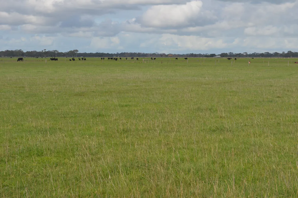 1805 Manga Road, Kalangadoo, SA, 5278 - Image 10