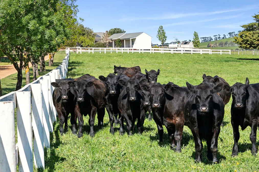 204  Andersons Road, Barrabool, VIC, 3221 - Image 4