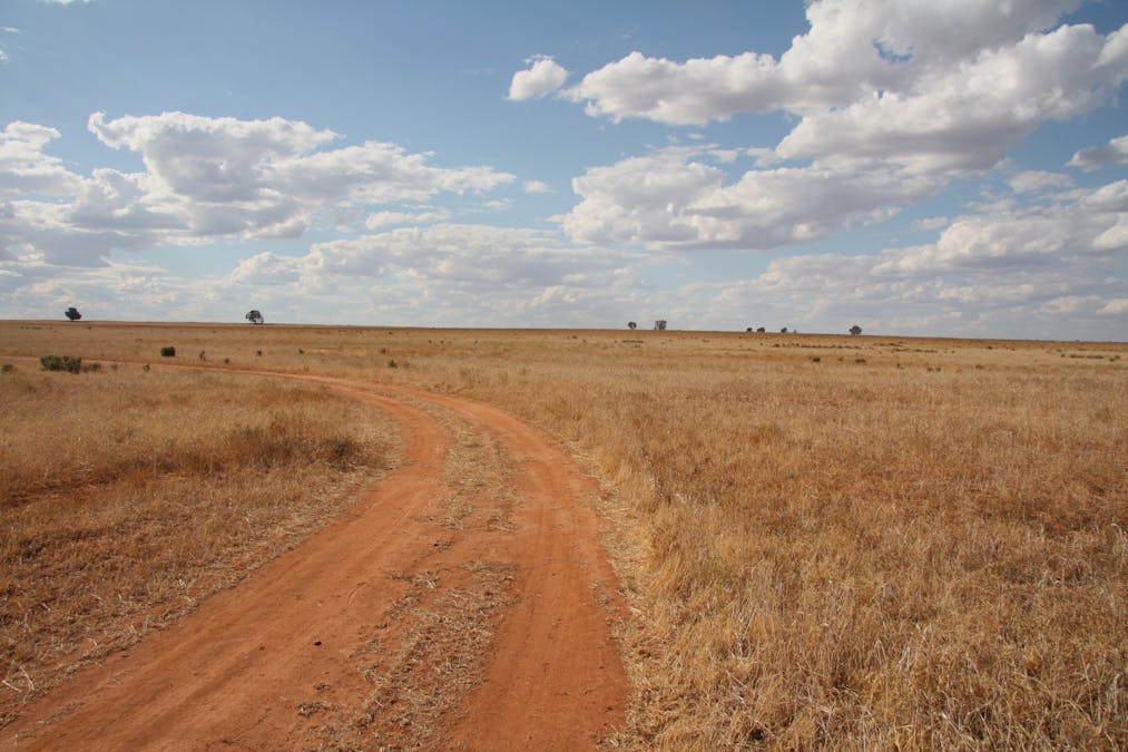 Lindsay Point Road, Murtho, SA, 5340 - Image 11