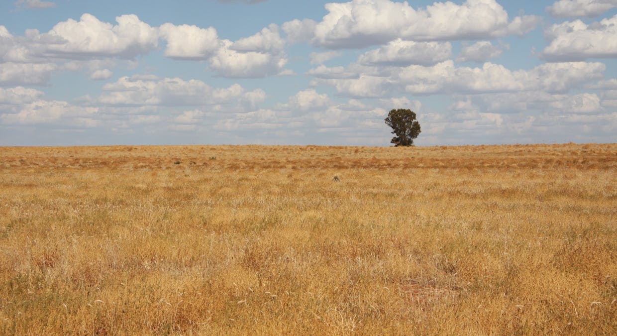 Lindsay Point Road, Murtho, SA, 5340 - Image 13