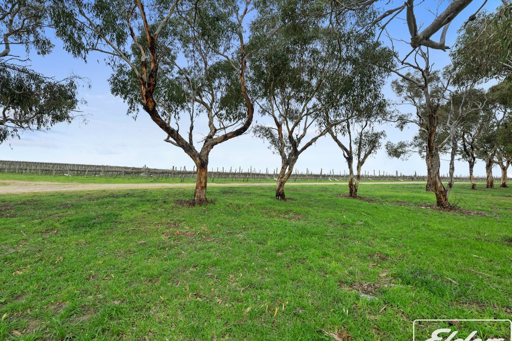 137 Taverner Road, Currency Creek, SA, 5214 - Image 25