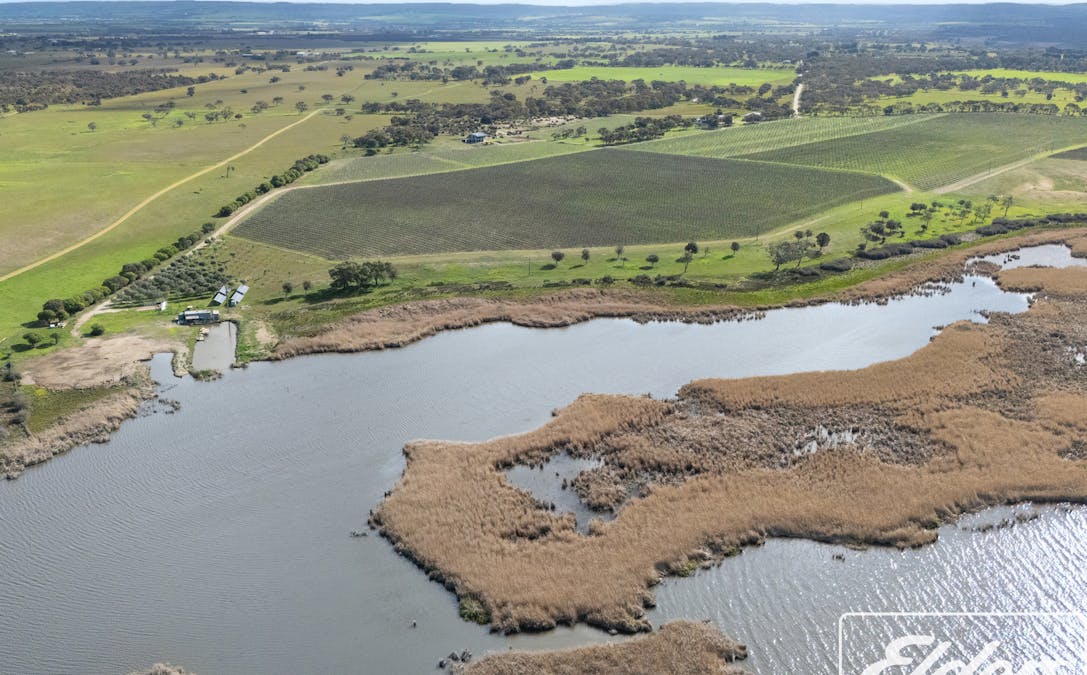 137 Taverner Road, Currency Creek, SA, 5214 - Image 1