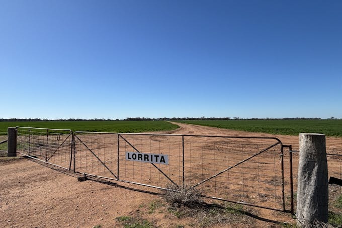 Cleary Road, Sea Lake, VIC, 3533 - Image 1