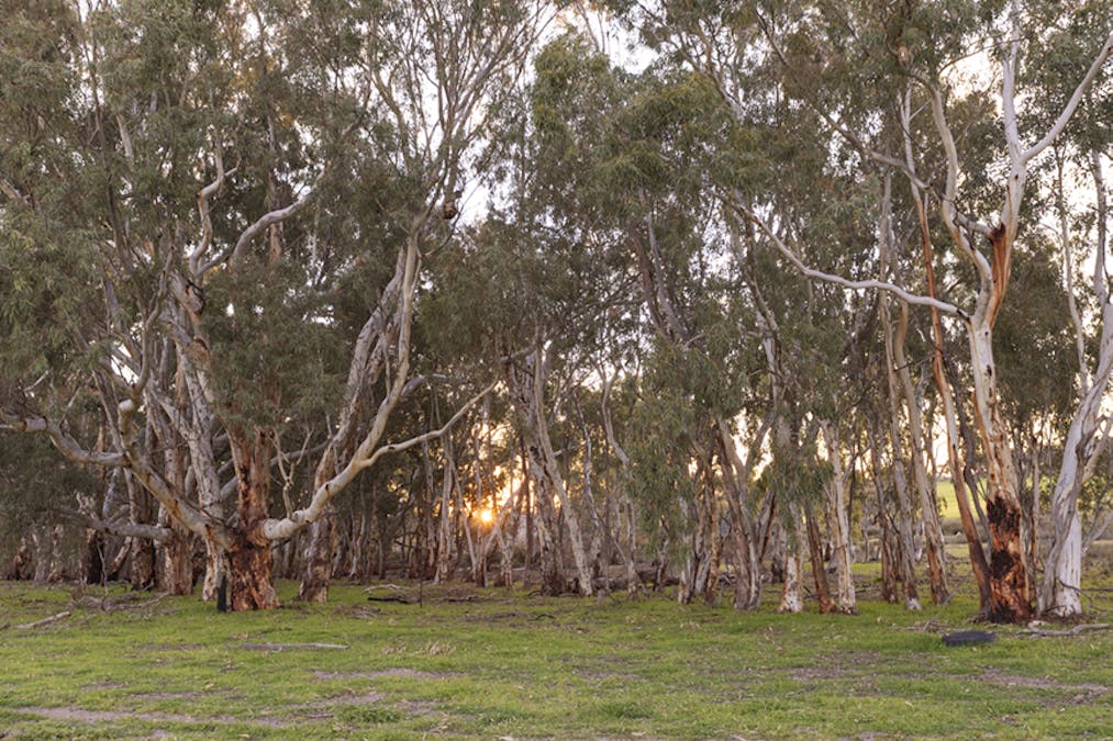 124 Boyagarra Road, Brookton, WA, 6306 - Image 26