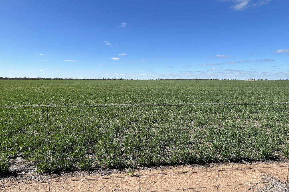 Massey-Bangerang Road, Watchem West, VIC, 3482 - Image 1