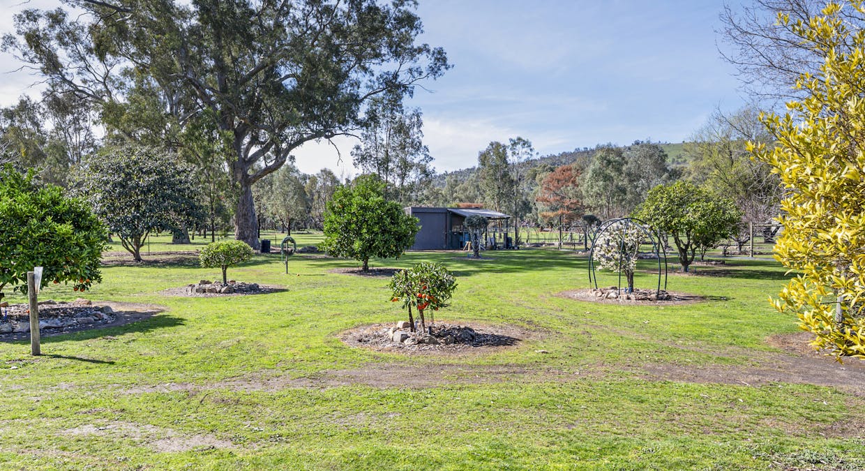 51 Hillview Road, Euroa, VIC, 3666 - Image 28