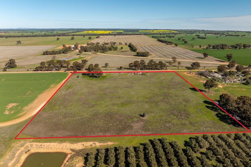 151 Erin Vale Lane, Milbrulong, NSW, 2656 - Image 1
