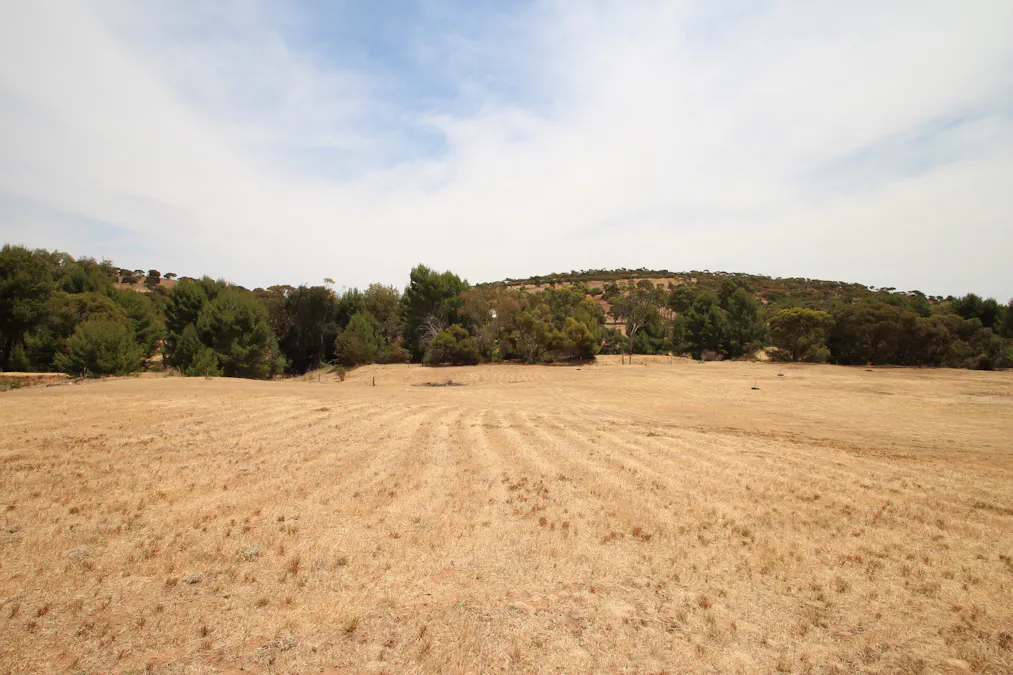 Lot 5 Peacock Street, Burra, SA, 5417 - Image 11