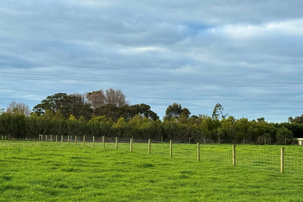181 Cobden-Terang Road, Cobden, VIC, 3266 - Image 9