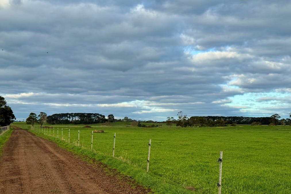 181 Cobden-Terang Road, Cobden, VIC, 3266 - Image 24