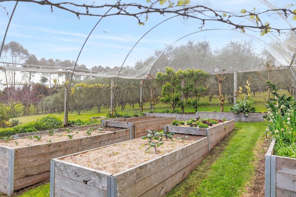 405 Brickmakers Road, Bambra, VIC, 3241 - Image 22