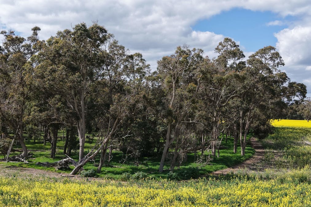 171 Kwornicup Road, Forest Hill, WA, 6324 - Image 16