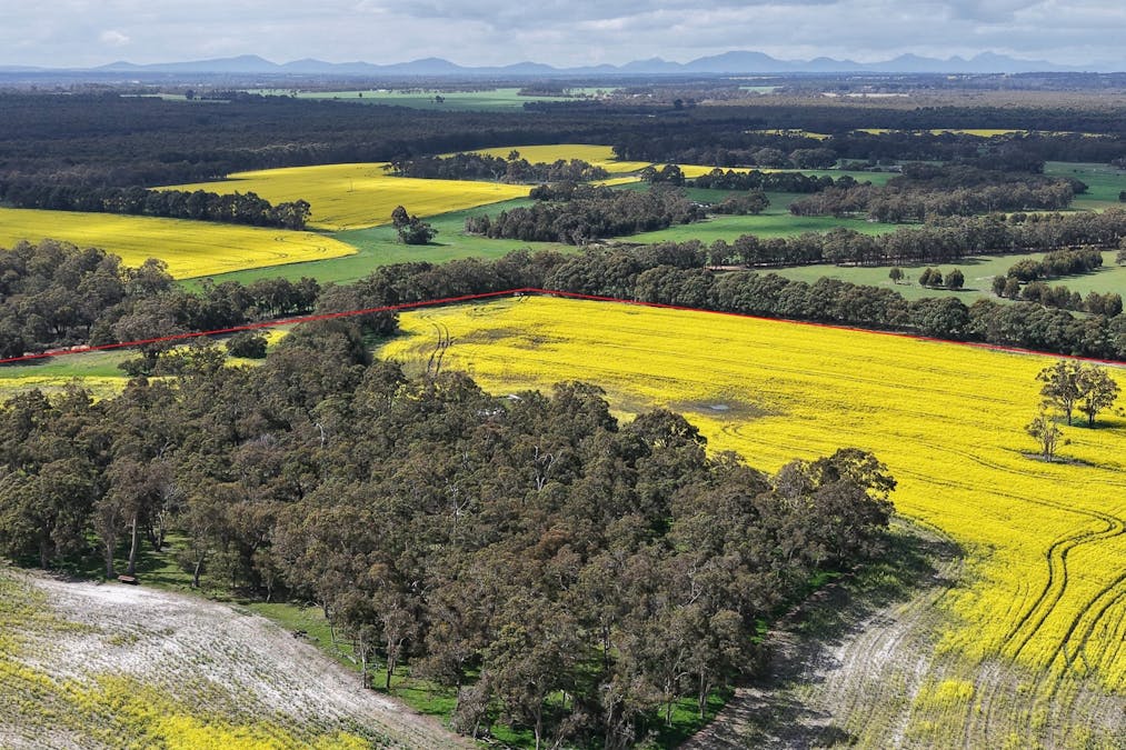 171 Kwornicup Road, Forest Hill, WA, 6324 - Image 13