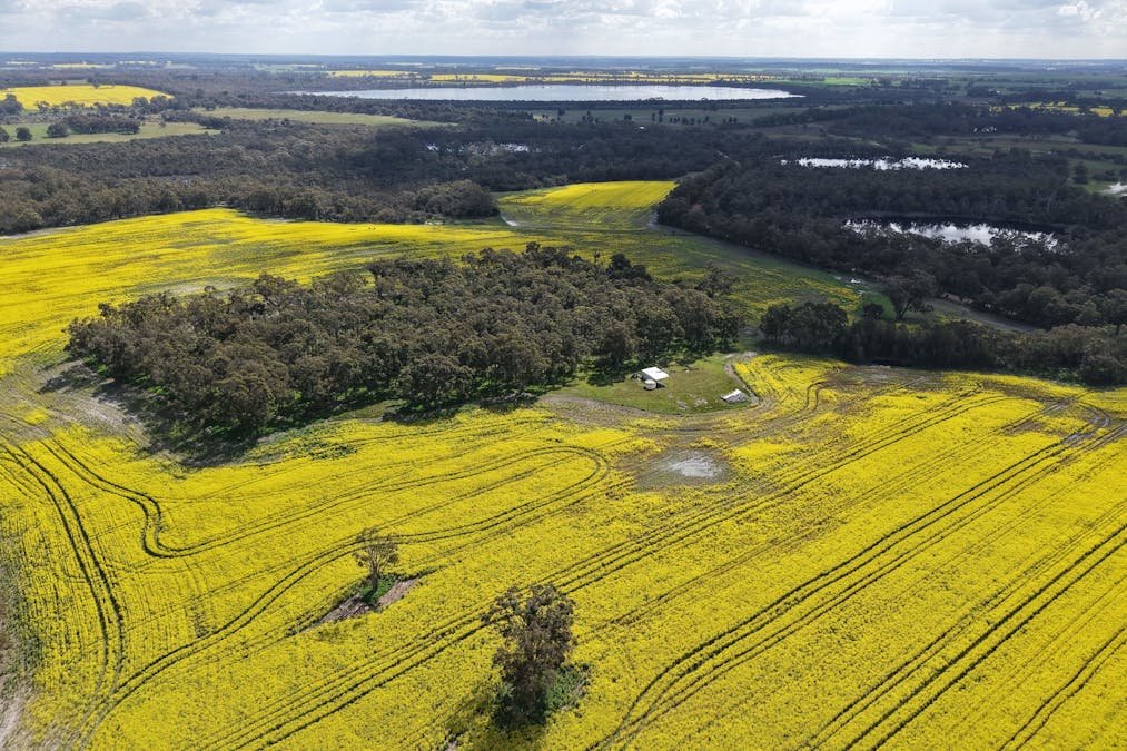 171 Kwornicup Road, Forest Hill, WA, 6324 - Image 3