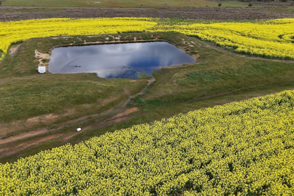 171 Kwornicup Road, Forest Hill, WA, 6324 - Image 11