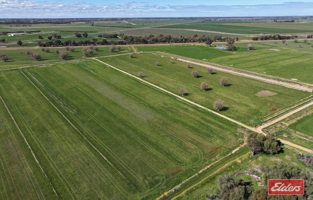 1683 ODEA  Odea Road, Echuca, VIC, 3564 - Image 4