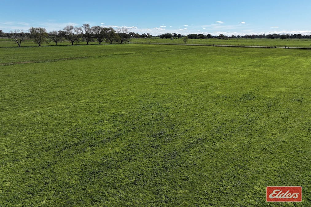 1683 ODEA  Odea Road, Echuca, VIC, 3564 - Image 7