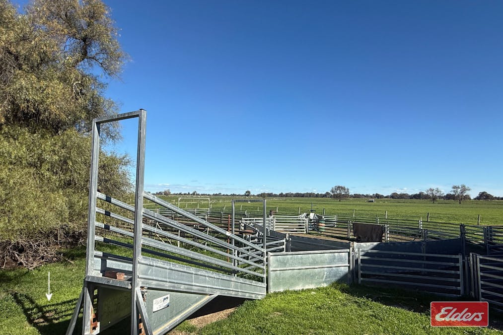1683 ODEA  Odea Road, Echuca, VIC, 3564 - Image 16