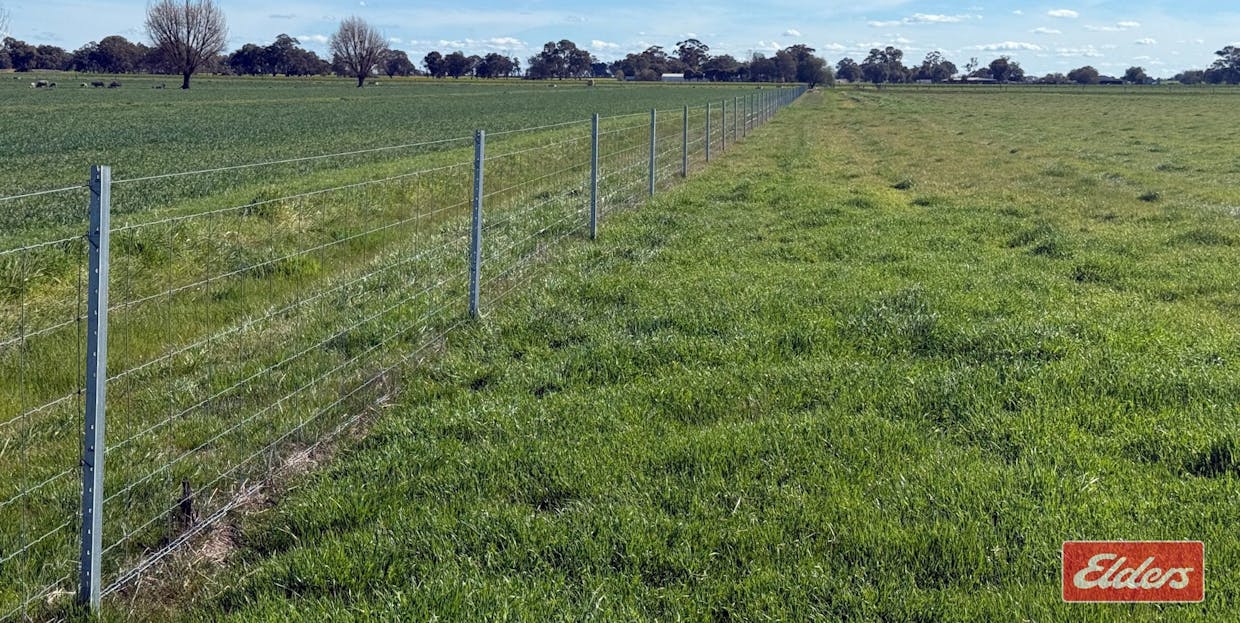 1683 ODEA  Odea Road, Echuca, VIC, 3564 - Image 17