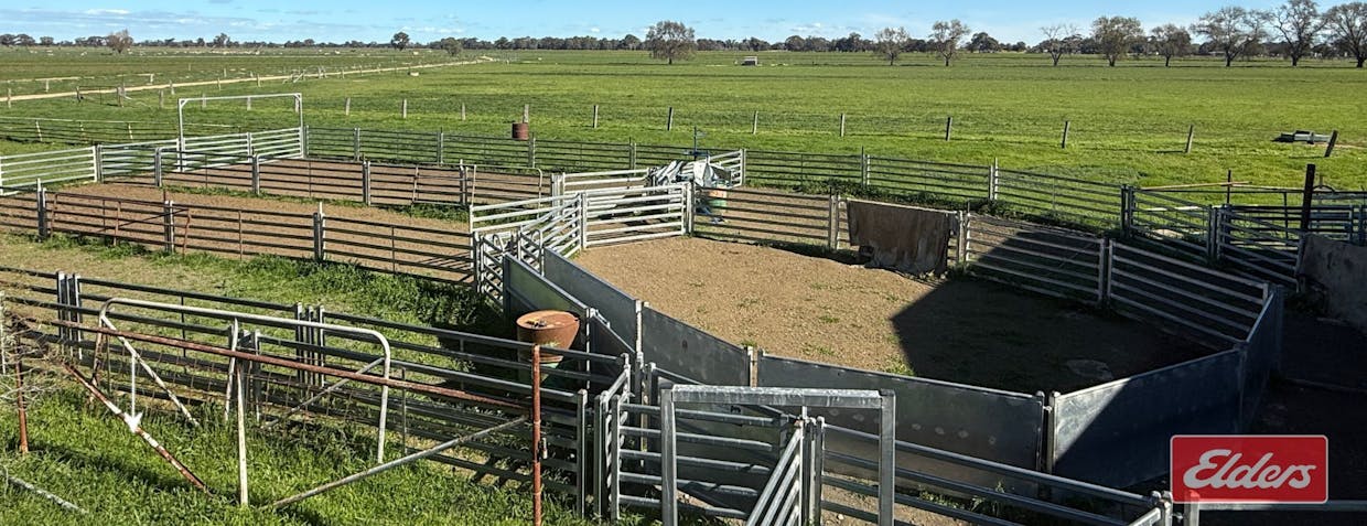 1683 ODEA  Odea Road, Echuca, VIC, 3564 - Image 18