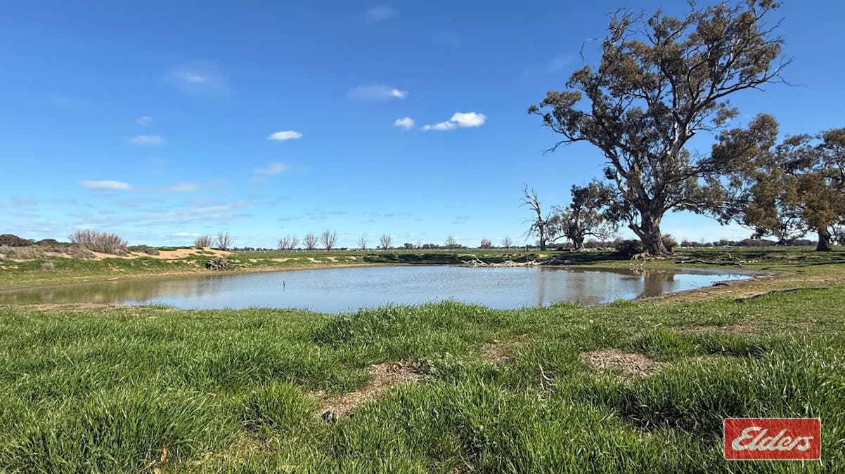1683 ODEA  Odea Road, Echuca, VIC, 3564 - Image 21
