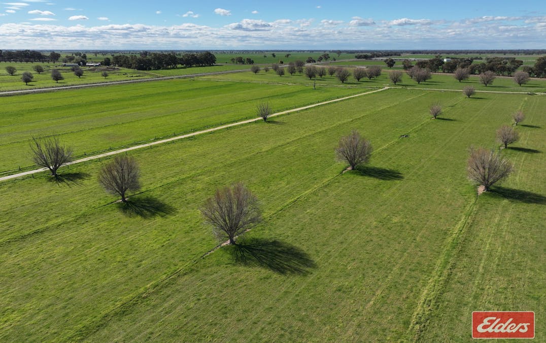 1683 ODEA  Odea Road, Echuca, VIC, 3564 - Image 2
