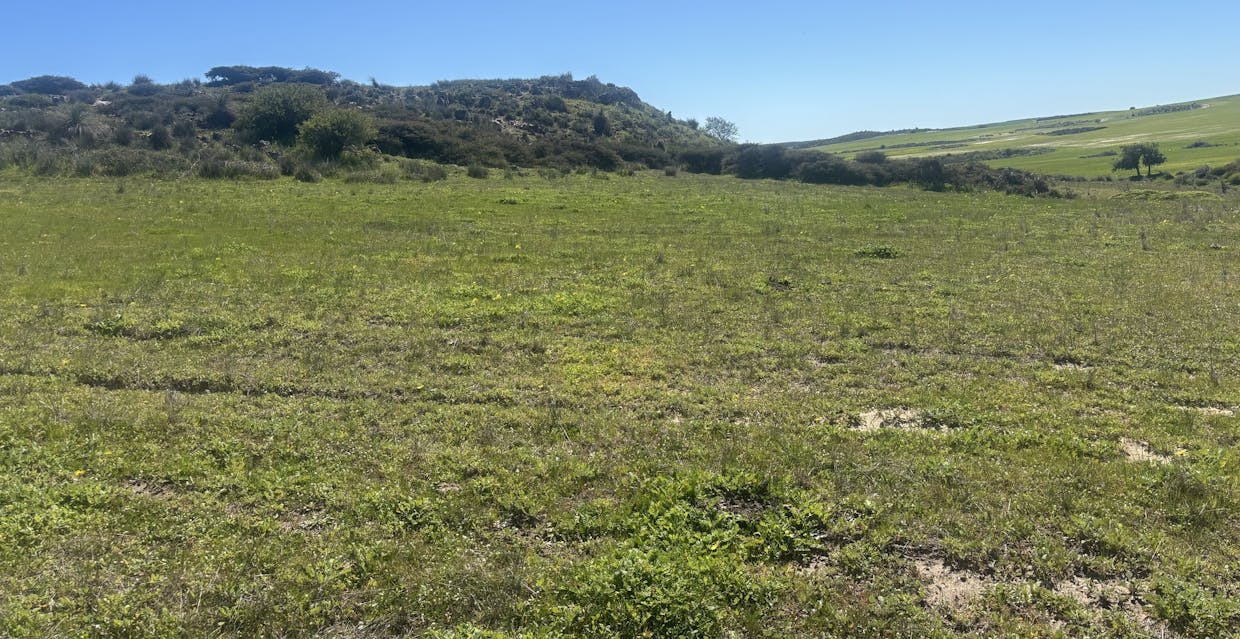 Lot 55  Ahern Place, Hickety, WA, 6532 - Image 8
