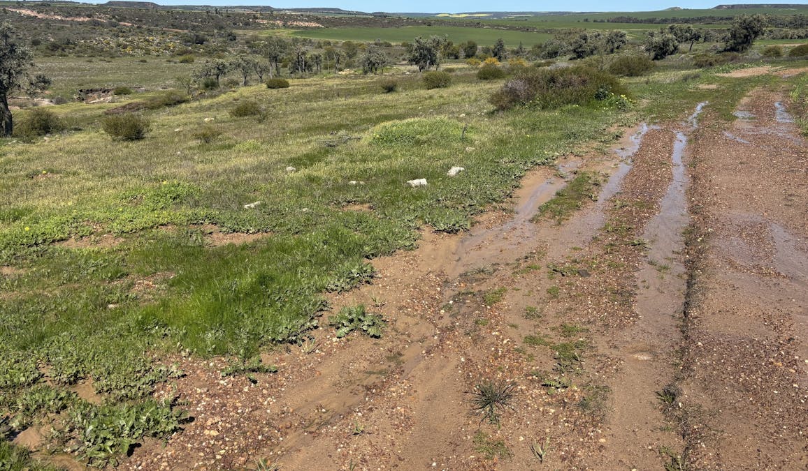 Lot 55  Ahern Place, Hickety, WA, 6532 - Image 12