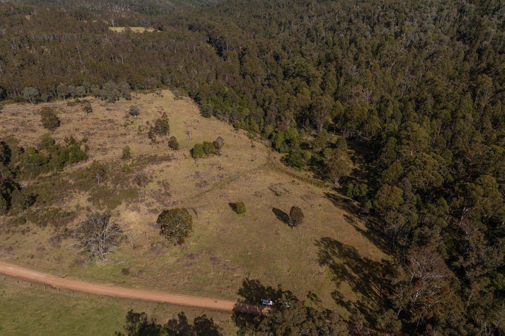 25E/3954 Tulloch Ard Road, Buchan, VIC, 3885 - Image 3