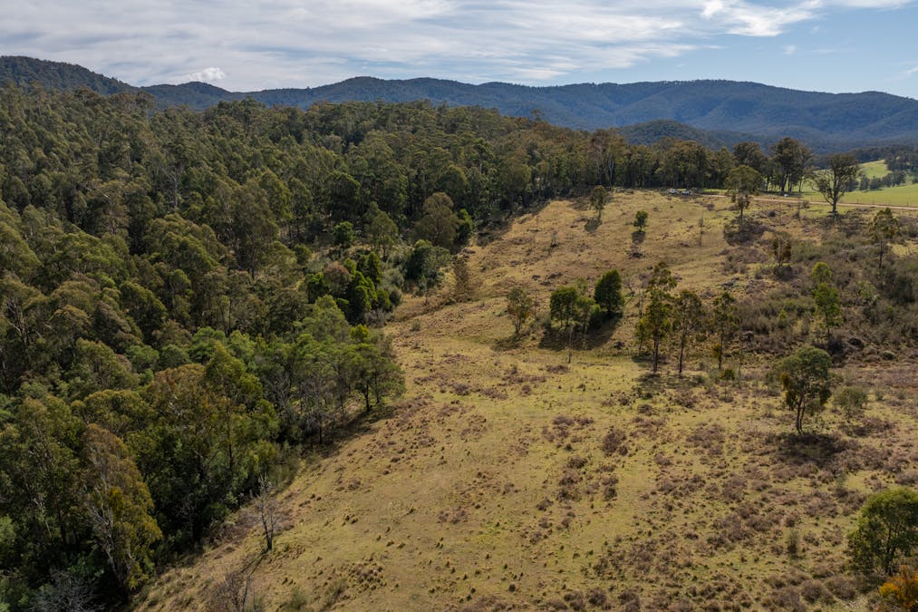 25E/3954 Tulloch Ard Road, Buchan, VIC, 3885 - Image 2