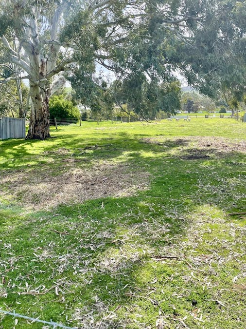 139 Church Street, Coleraine, VIC, 3315 - Image 3