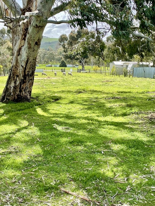 139 Church Street, Coleraine, VIC, 3315 - Image 4