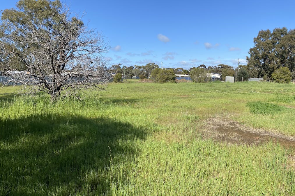 62 Rogers Avenue, Katanning, WA, 6317 - Image 6