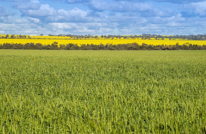 Marchagee, WA, 6515 - Image 1