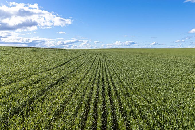 Marchagee, WA, 6515 - Image 1